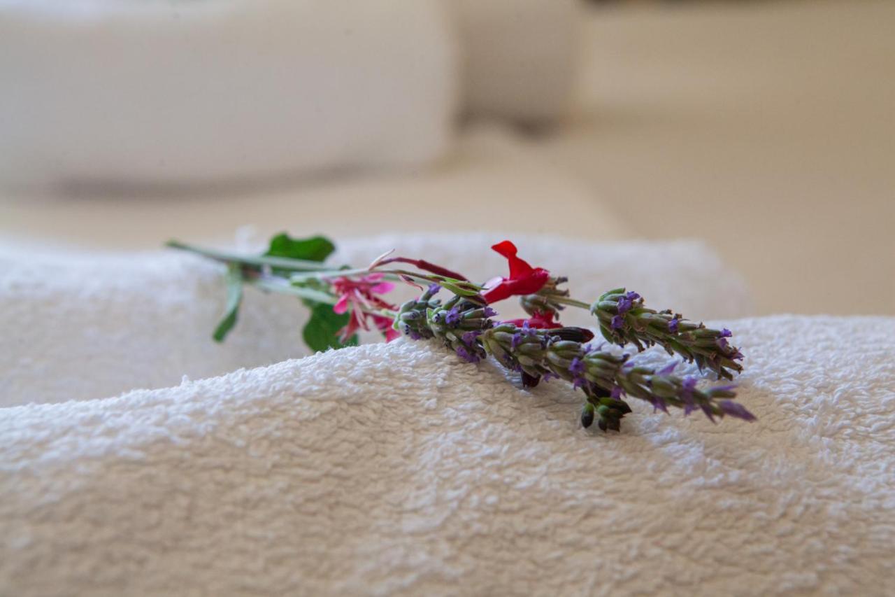 Hotel Loula Rooms And Apartments 카메나불라 외부 사진